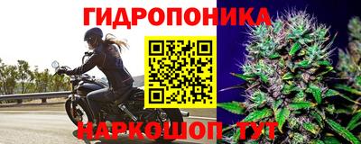 амф Малгобек