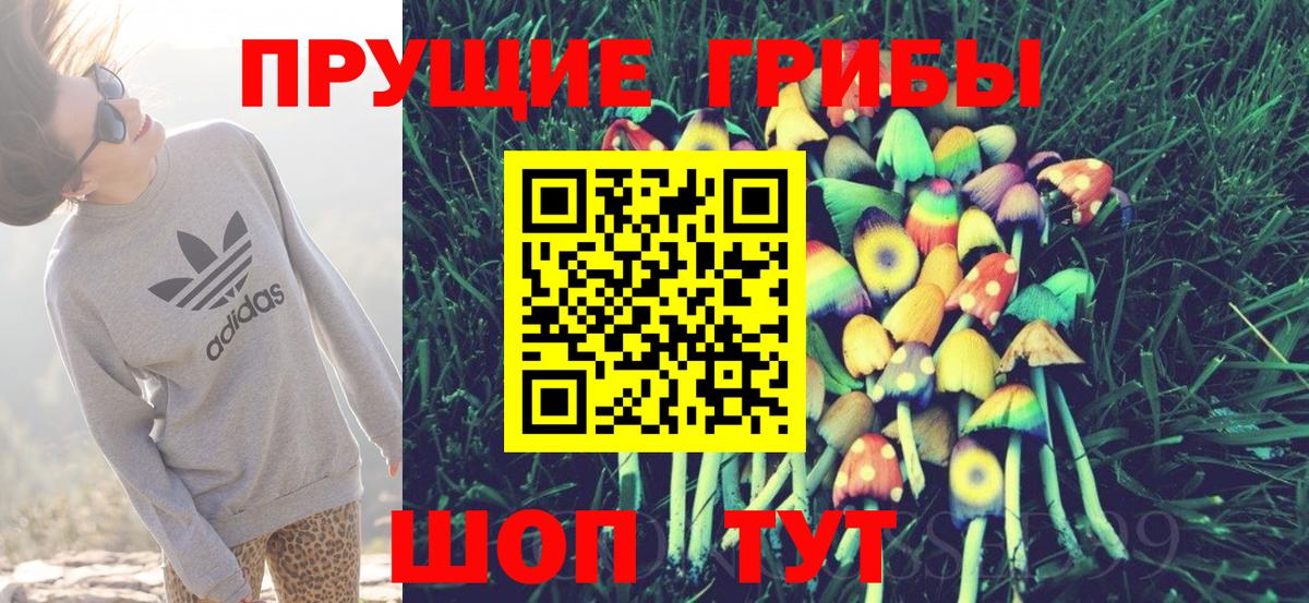 Галлюциногенные грибы Magic Shrooms Оренбург
