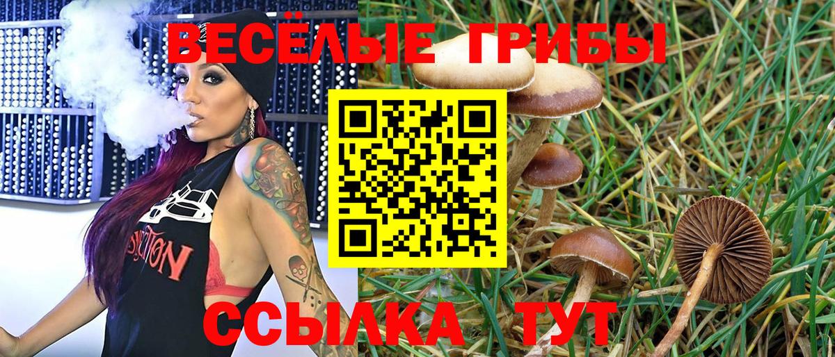 Псилоцибиновые грибы MAGIC MUSHROOMS  Вход с VPN  Оренбург  Псилоцибиновые грибы мухоморы 